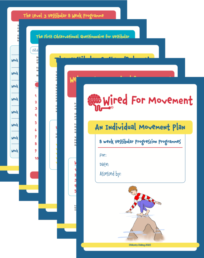 Individual Movement Plan example PDF